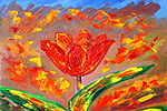 Tulip (2323ő3084)
