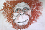 Monkey (3059x2388)