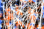 Jazzy (360x640)