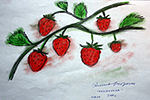 Strawberry (3308x2348)