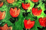 Poppies (480x480)
