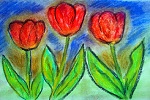 Tulips (1224x918)