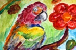 Parrot (2246x3216)