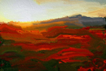 Sunny Landscape (774x433)
