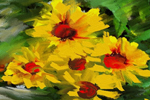 Flowers (640x640)
