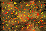 Autumn Wind (960x540)