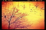 Winter (480x480)