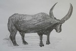 Buffalo (640x640)